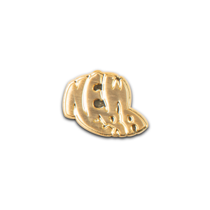 Bug Pin