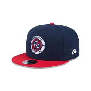 Team 9FIFTY Snapback