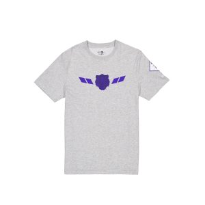 City Connect Gray T-Shirt