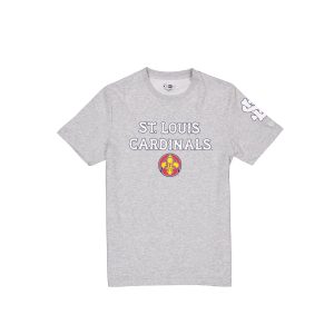 City Connect Gray T-Shirt