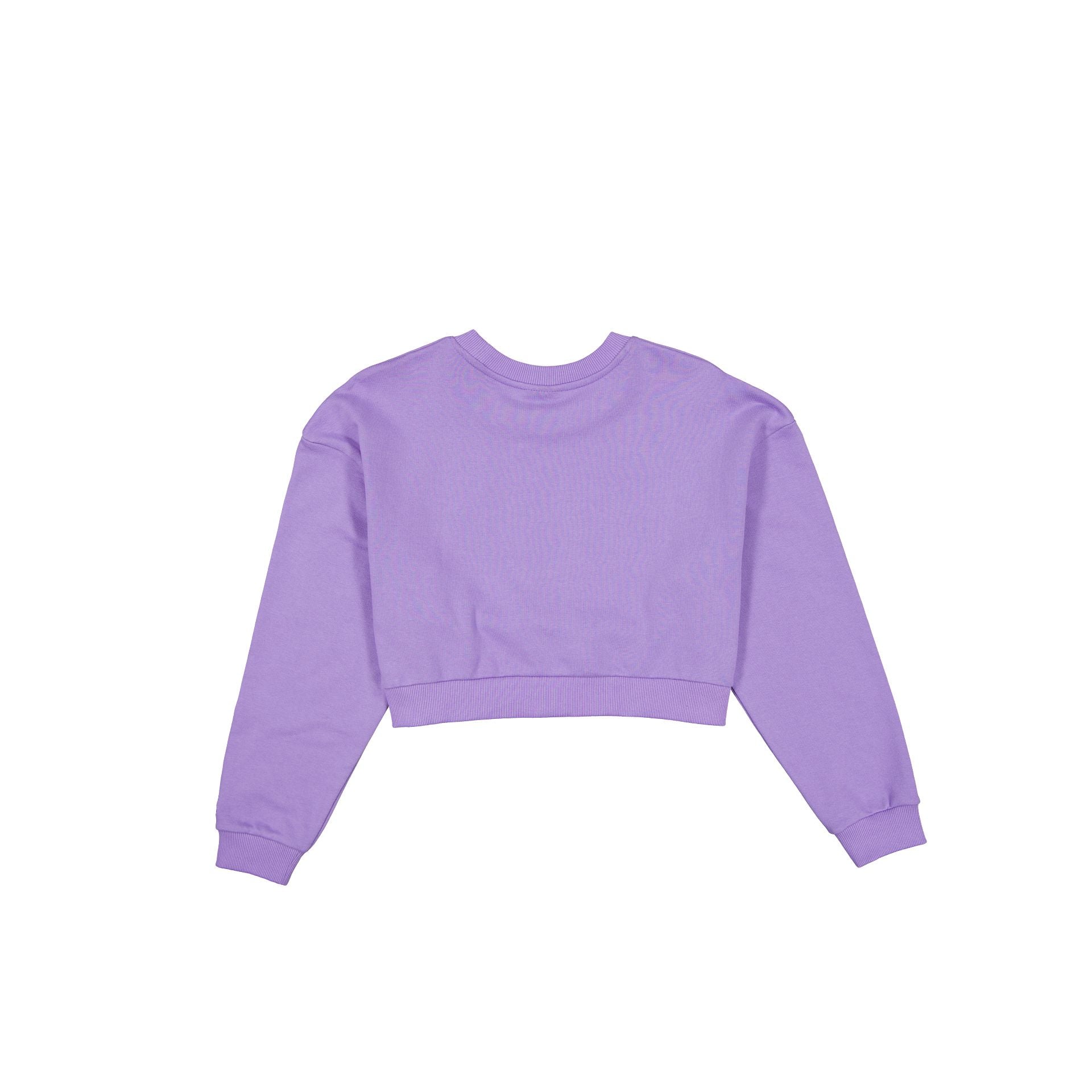 60596473_CREWNECK_EMEASS25_NEYYAN_PUR_R-1.jpg