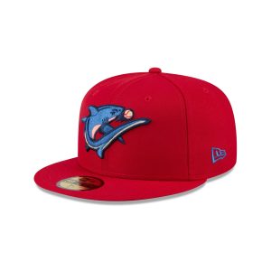 Authentic Collection 59FIFTY Fitted