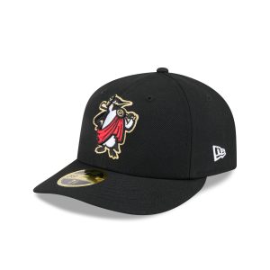 Authentic Collection Low Profile 59FIFTY Fitted