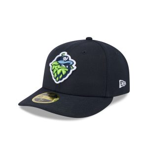 Authentic Collection Low Profile 59FIFTY Fitted