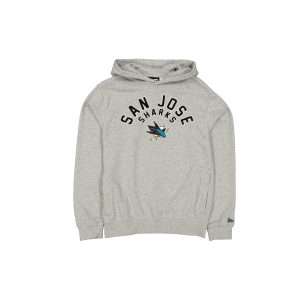 Sport Night Heather Gray Hoodie