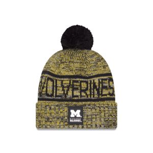 Cold Weather Pom Knit