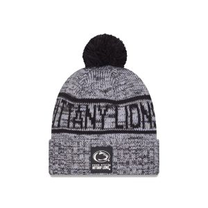 Cold Weather Pom Knit