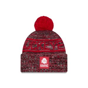 Cold Weather Pom Knit
