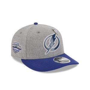 Heather Gray Wool Low Profile 9FIFTY Snapback