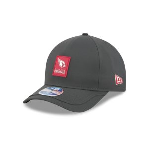2025 Sideline Cold Weather Steel Clouds 9FORTY M-Crown Snapback