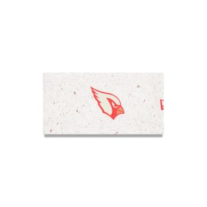 2025 NFL Rivalries Headband