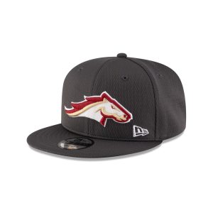 Gray 9FIFTY Snapback