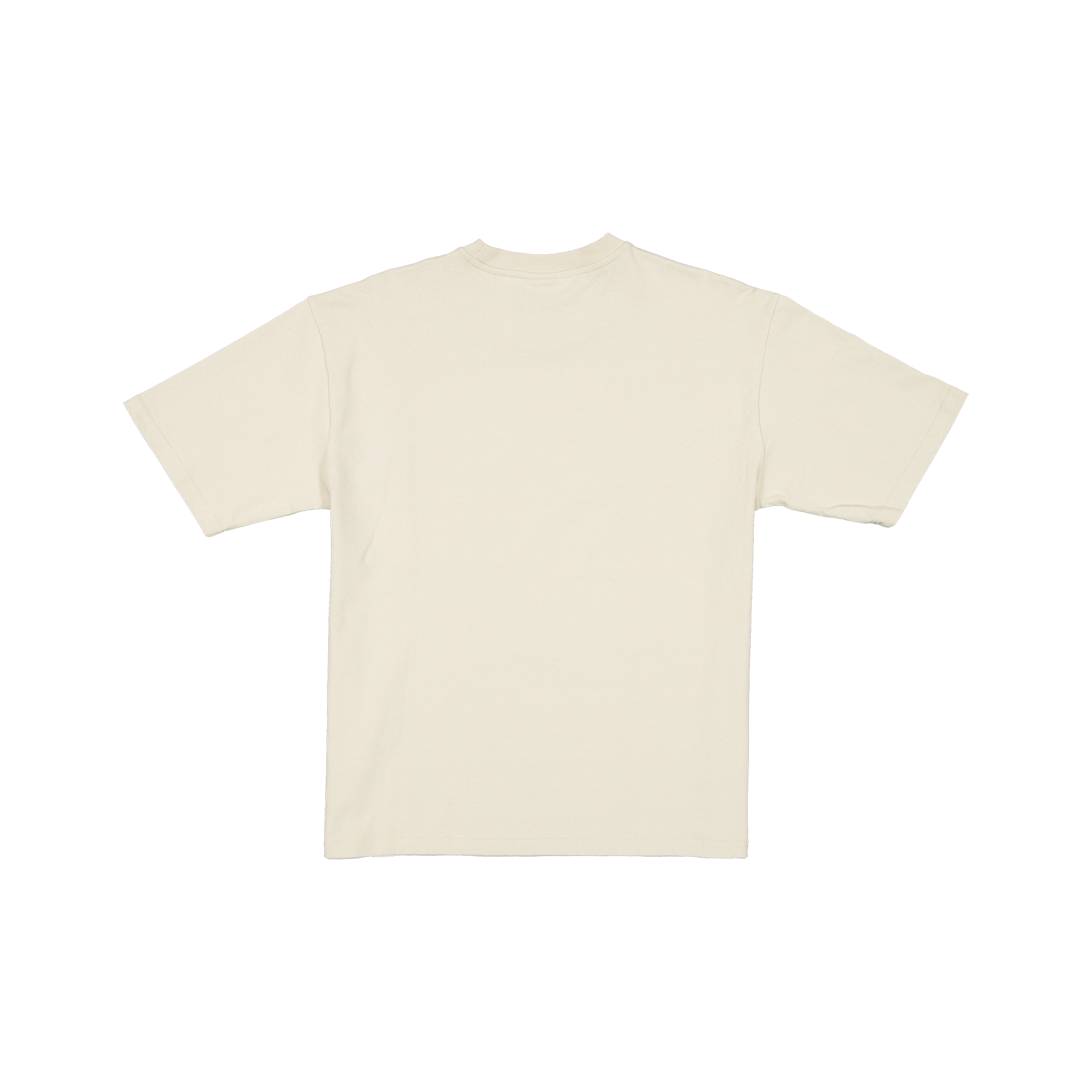 60766249_TSHIRT_FW25_NEB_NEWERA_VST_R-1.png
