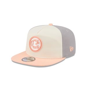 Two-Tone Gray 19TWENTY Snapback