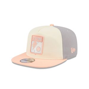Two-Tone Gray 19TWENTY Snapback
