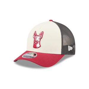 Color Pack Maroon 9FORTY M-Crown A-Frame Trucker