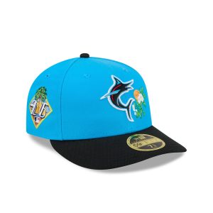 2026 Spring Training Low Profile 59FIFTY Fitted