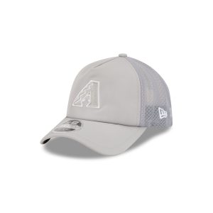 2026 Batting Practice Gray 9FORTY APEX Trucker
