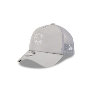 2026 Batting Practice Gray 9FORTY APEX Trucker
