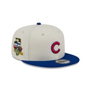 Localized 9FIFTY Snapback