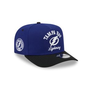 Arched 9FIFTY A-Frame Snapback