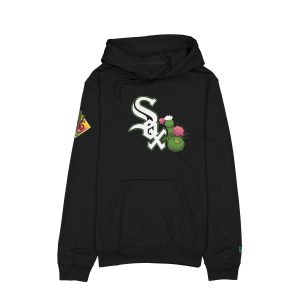 2026 Spring Training Hoodie
