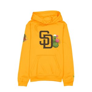 2026 Spring Training Hoodie