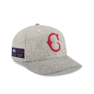 Stone Shetland Moon 59FIFTY Fitted