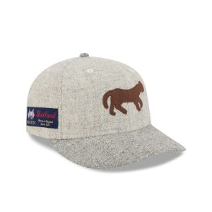Stone Shetland Moon 59FIFTY Fitted