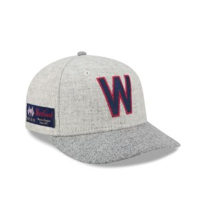 Stone Shetland Moon 59FIFTY Fitted