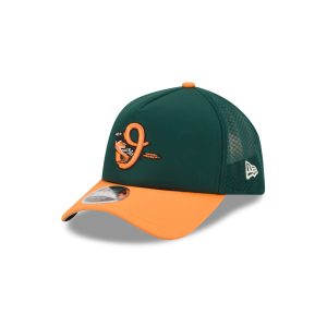 2026 City Connect Batting Practice 9FORTY APEX Snapback