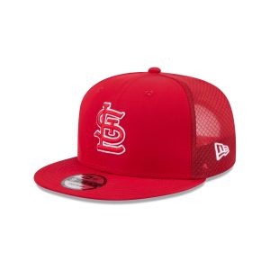 2026 Batting Practice Fan Pack 9FIFTY Snapback
