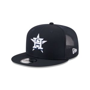 2026 Batting Practice Fan Pack 9FIFTY Snapback