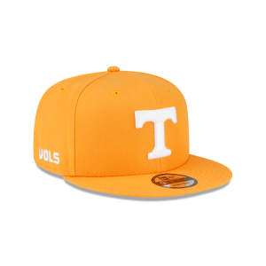 9FIFTY Snapback