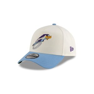 Roadrunner 9FORTY A-Frame Snapback