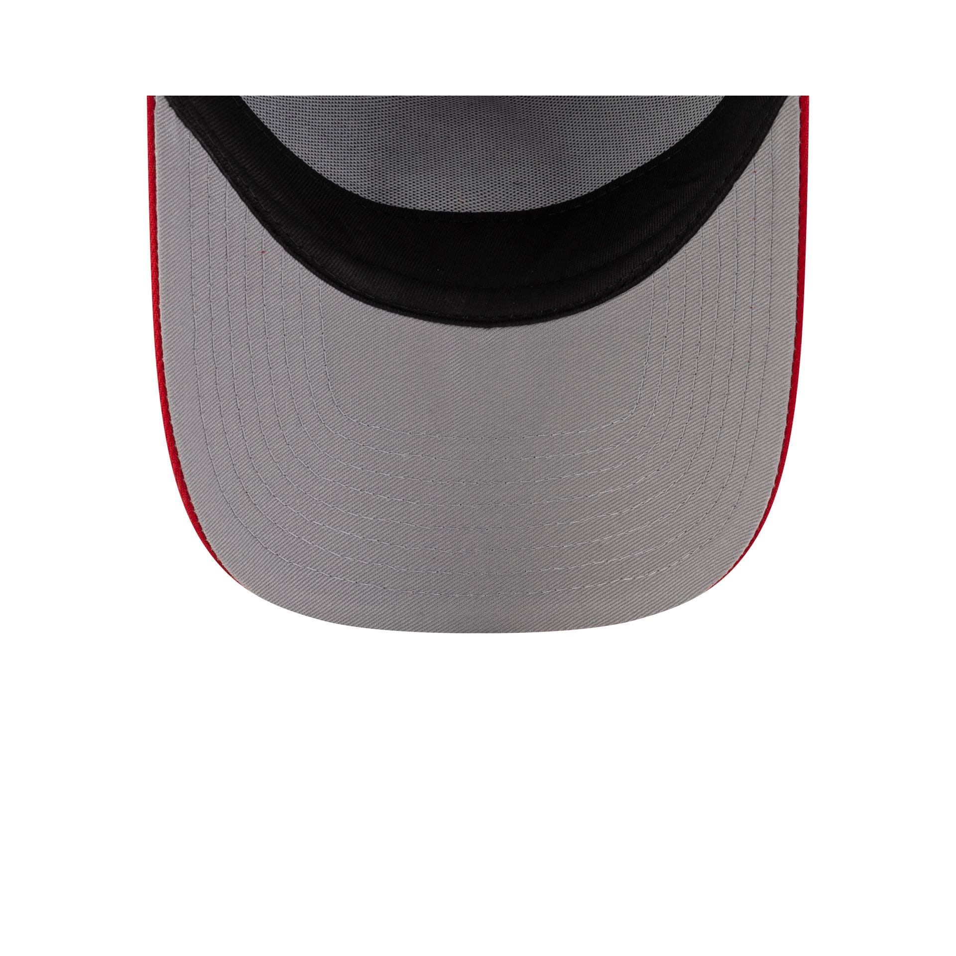 70931201_9FORTYAFRAME_MLBMASCOT_25_PHIPHICO_RYL_UV-1.jpg