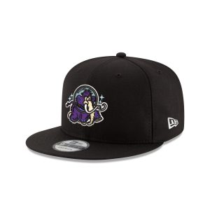 Erie Moon Mammoths 9FIFTY Snapback