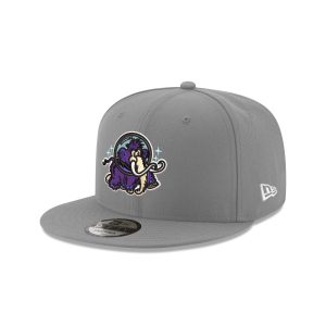 Erie Moon Mammoths Gray 9FIFTY Snapback